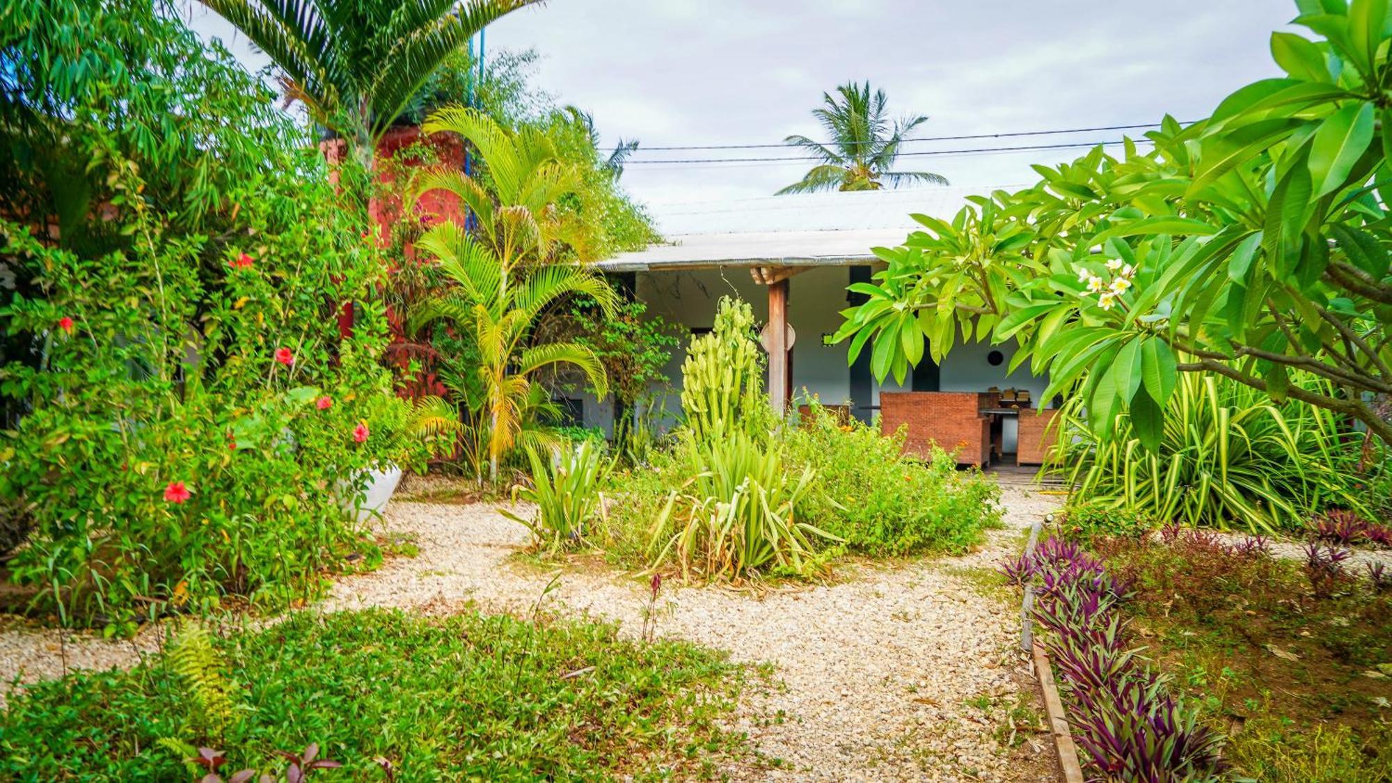 Nungwi House Bed & Breakfast Exterior photo