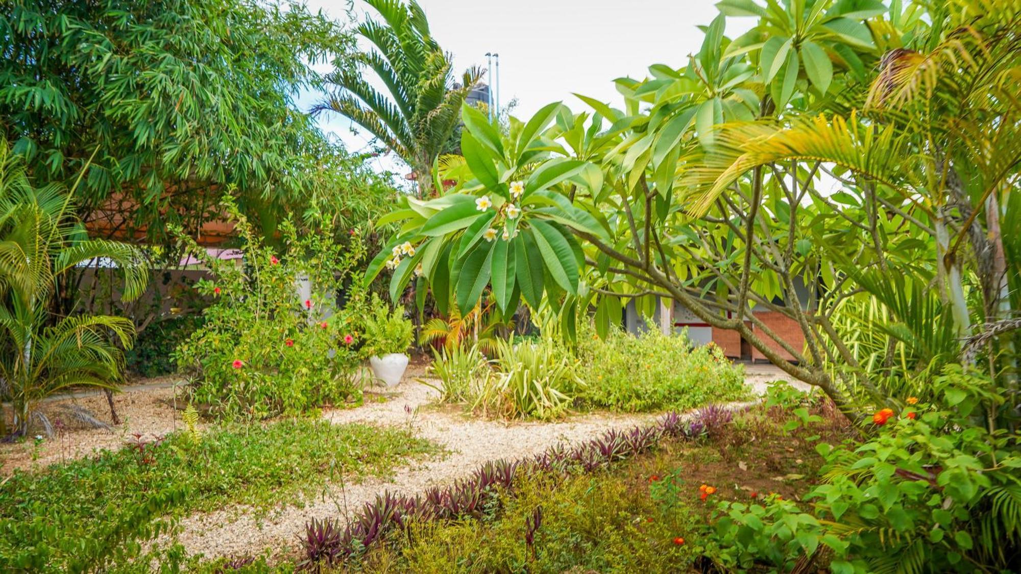 Nungwi House Bed & Breakfast Exterior photo