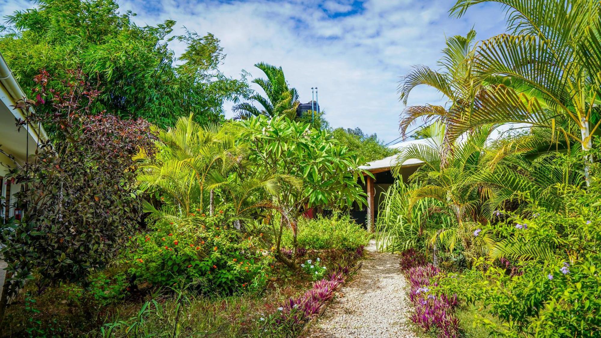 Nungwi House Bed & Breakfast Exterior photo